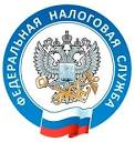 Налоговую декларацию о доходах можно представить в МФЦ «Мои документы»