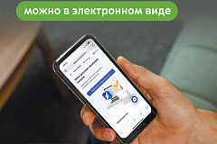 Максим Ликсутов: получить копию постановления о неоплате парковки можно в электронном виде